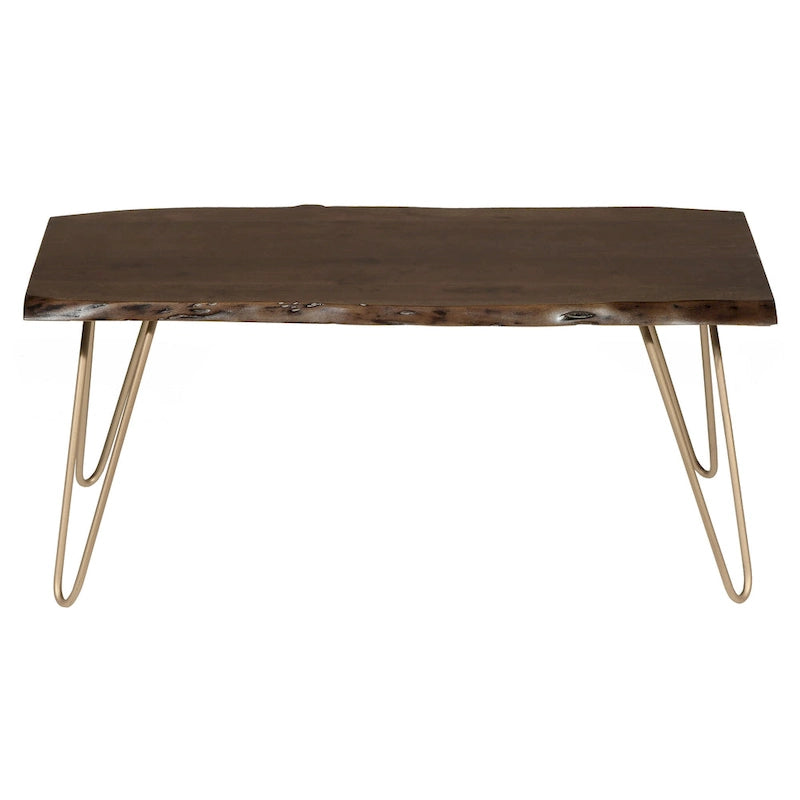 Carolina Living Seti Table Basse/Banc à Rebord Brut – Plateau en Orme – Piétement Doré